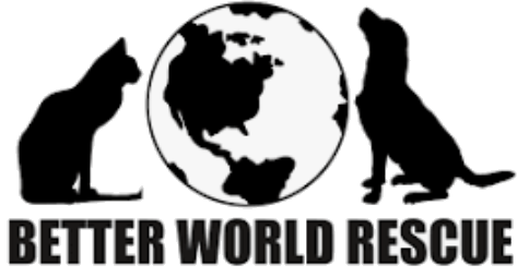 Better World Rescue